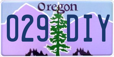OR license plate 029DIY