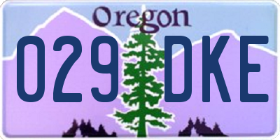 OR license plate 029DKE