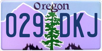 OR license plate 029DKJ