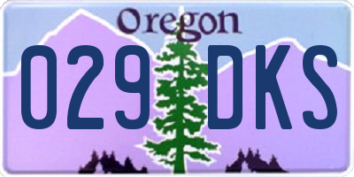 OR license plate 029DKS