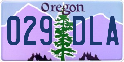 OR license plate 029DLA