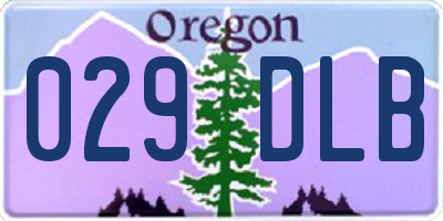 OR license plate 029DLB
