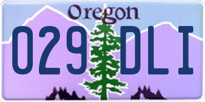 OR license plate 029DLI