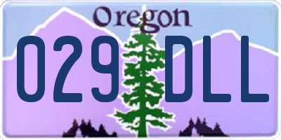 OR license plate 029DLL