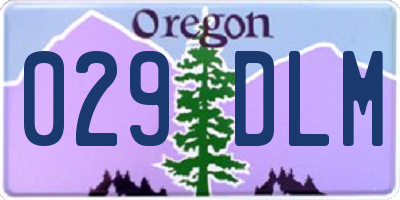 OR license plate 029DLM
