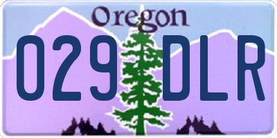 OR license plate 029DLR