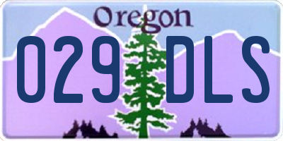 OR license plate 029DLS