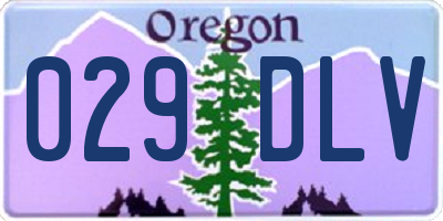 OR license plate 029DLV