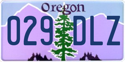 OR license plate 029DLZ