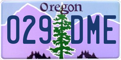 OR license plate 029DME