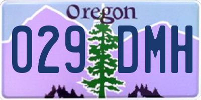 OR license plate 029DMH