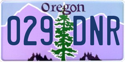 OR license plate 029DNR