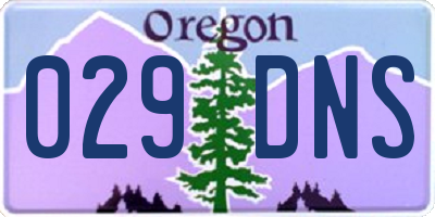 OR license plate 029DNS