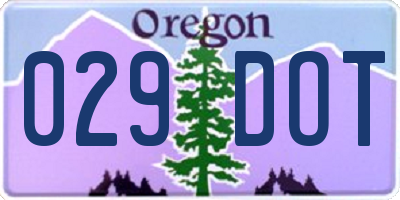 OR license plate 029DOT