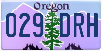 OR license plate 029DRH
