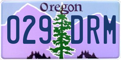 OR license plate 029DRM
