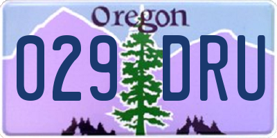 OR license plate 029DRU