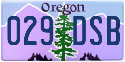 OR license plate 029DSB