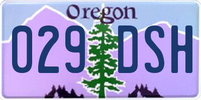 OR license plate 029DSH