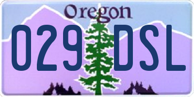 OR license plate 029DSL
