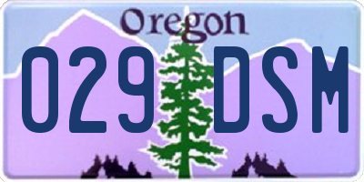 OR license plate 029DSM