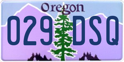 OR license plate 029DSQ