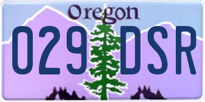 OR license plate 029DSR