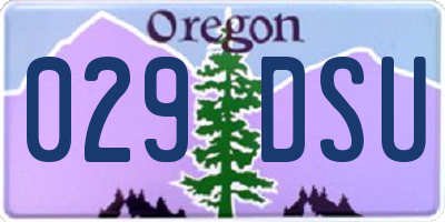 OR license plate 029DSU