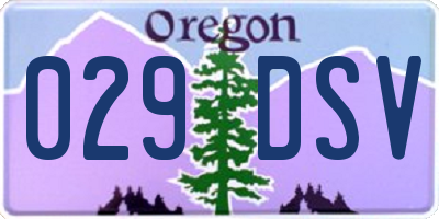 OR license plate 029DSV