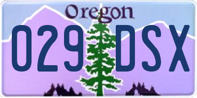 OR license plate 029DSX