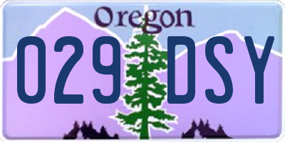OR license plate 029DSY
