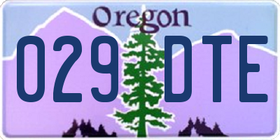 OR license plate 029DTE