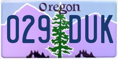 OR license plate 029DUK
