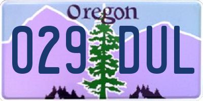 OR license plate 029DUL