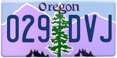 OR license plate 029DVJ