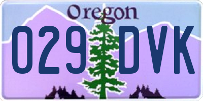 OR license plate 029DVK