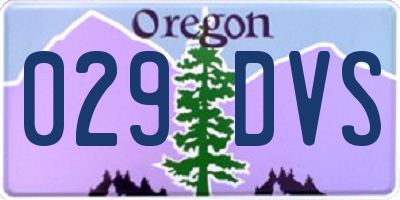 OR license plate 029DVS