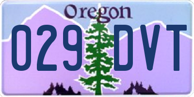 OR license plate 029DVT