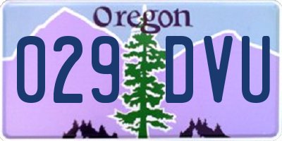 OR license plate 029DVU