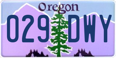 OR license plate 029DWY