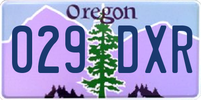 OR license plate 029DXR