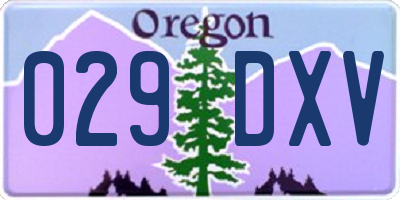 OR license plate 029DXV