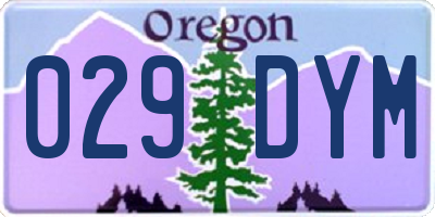 OR license plate 029DYM