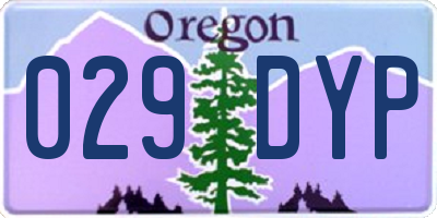 OR license plate 029DYP