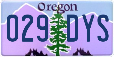 OR license plate 029DYS