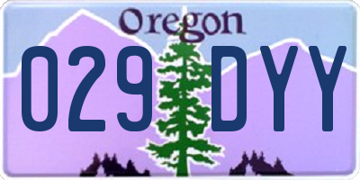 OR license plate 029DYY
