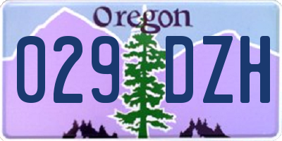 OR license plate 029DZH