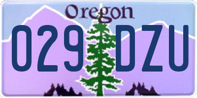 OR license plate 029DZU