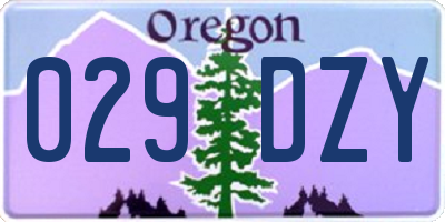 OR license plate 029DZY