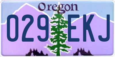OR license plate 029EKJ